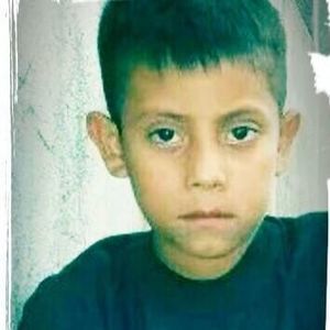 Meet your Posher, Donald